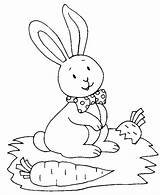 Ferme Colorat Iepurasi Lapin Animale Coniglio Conigli Gratuit Planse Kaninchen P29 Coloring Colorare Disegni Escargot Desene Bambini Primiiani Copii Pentru sketch template