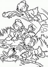 Coloring Pond Pages Frog Duck Popular Tales sketch template