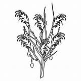 Strauch Pflanzen Fensterbilder Malvorlagen sketch template