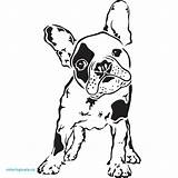 Bulldog French Coloring Pages Terrier Dog Boston Bull Silhouette Drawing Color Easy Yorkshire Para Printable Frances Stencils Designs Dibujo Stencil sketch template