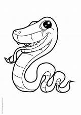 Schlange Coloring Schlangen Ausmalbild Kostenlos Q3 Du Drucken sketch template