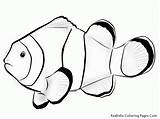 Coloring Fish Clownfish Clown Realistic Library Clipart Pages sketch template