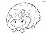 Hedgehog Flower Coloring Cute Animals sketch template
