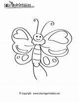 Butterfly Coloring Cartoon Pages Nature Printable Flowers Thingkid Coloringprintables Rainforest Printables Thank Please Visit Adult sketch template