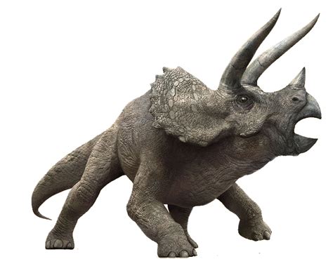 Triceratops Jurassic Park Wiki Fandom Powered By Wikia