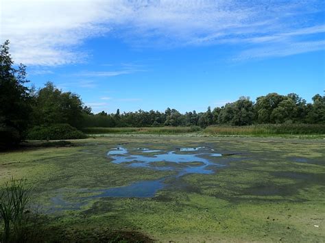 hobokense polder hika trail