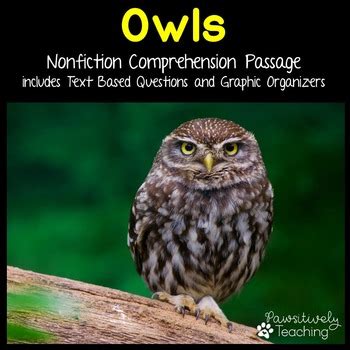owls reading passage nonfiction text questions  positively literacy