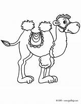 Chameau Coloriage Camello Camelos Camellos Colorir Animales Camel Salvajes Greatestcoloringbook sketch template