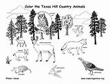 Texas Coloring Country Hill Animals sketch template