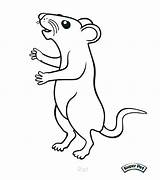 Rat Coloring Pages Cartoon Cute Rats Rod Kangaroo Getcolorings Colouring Click Printable Color Coloringbay Lab sketch template