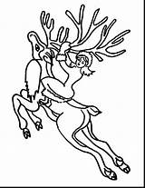 Reindeer Flying Drawing Getdrawings Coloring sketch template