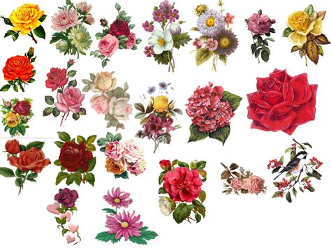 vintage flowers wallpaper