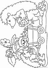 Kleurplaat Egels Hedgehogs Herbst Ausmalbilder Colorat Malvorlagen Igel Egel Ricci Kleurplaten Herisson Riccio Animale Arici Igeln Fraise P01 Ausmalbild Ausmalvorlagen sketch template