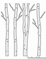 Birch Tree Stencil Plants Freestencilgallery sketch template