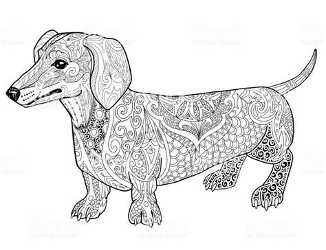 dachshund dog coloring pages    print