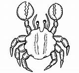 Crab Pincers Large Coloring Coloringcrew sketch template