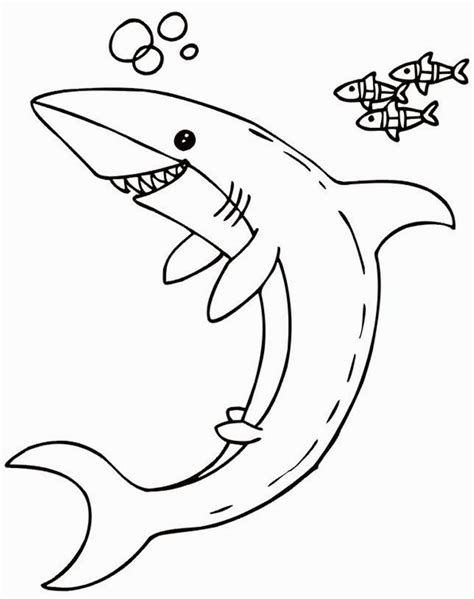 shark coloring pages  print shark coloring pages coloring pages