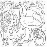 Coloriage Animaux Australie Dschungeltiere Keys Ausmalbilder Bird Rainforest Sheets Ancenscp Löwe Coloringhome sketch template
