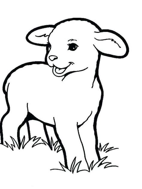 coloring pages boy  sheep sheep     ruminants