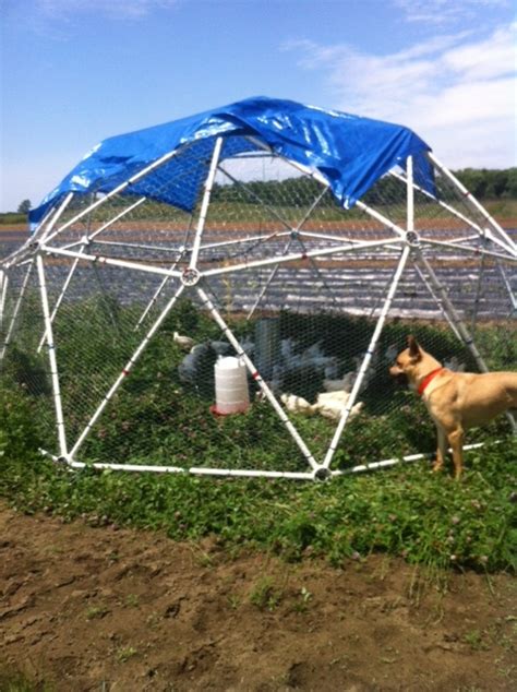 allison janssens customer reviews   geodesic chicken coop kit geodesic dome pvc