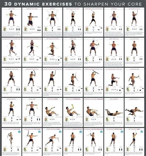 workouts chart bowflex exercise chart bowflex exercise charts