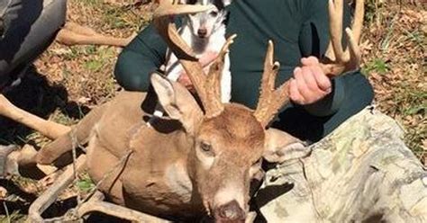 tennessee deer hunting season opens saturday