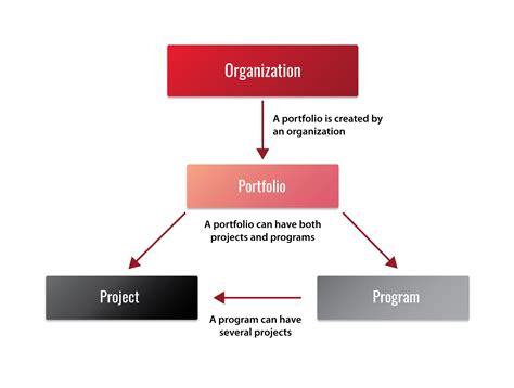 project program portfolio strategy henrico dolfing