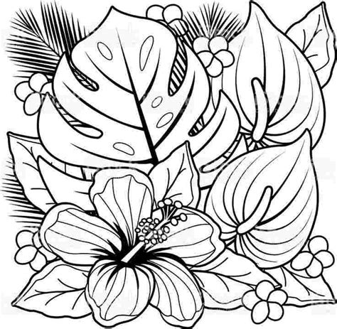 tropical coloring pages flower coloring sheets printable flower