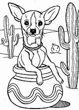 Coloring Chihuahua Pages Cactus Dog Fiesta Pottery Printable Inside Tree Color Drawing Getdrawings Netart Cartoon Getcolorings Print sketch template