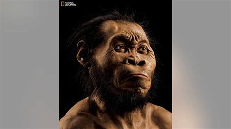 study bone trove deep  south african cave reveals   human ancestor raises mysteries