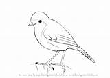 Robin Bird Drawing Draw Step Birds Red Drawings Line Make Easy Learn Competition Tutorials Pencil Drawingtutorials101 Getdrawings Robins sketch template