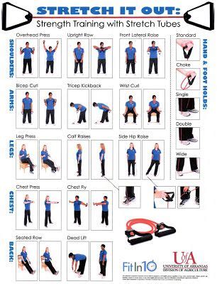 stretching exercises  seniors poster stretch   strength