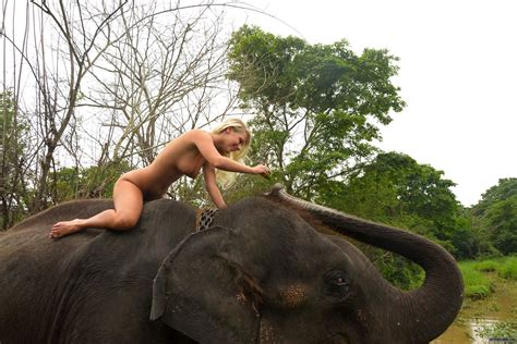 girls having sex with elephants