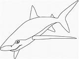 Coloring Shark Kids Patroling Bed Sea Food Blue Fins Sharp Disimpan Dari Pages sketch template