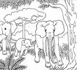 Coloring Elephant Pages Colouring Stencil Olifanten Family Baby Elephants Peanut Templates Disney Comments sketch template