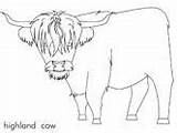 Highland Cow Vaca Schotland Kleurplaten Toros Printen Vacas Kastelen sketch template