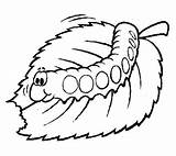 Coloring Caterpillar Eating Leaf Colouring Pages Kids Leaves sketch template