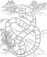 Coloring Pages Snake Desert Year Chinese Kids Snakes Cute Activity Printable Color Print Habitat Getdrawings Siblings Scare Too Fun Will sketch template