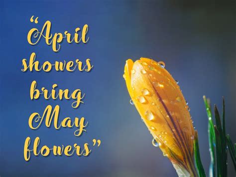 april showers bring  flowers lewolang