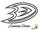 Hockey Nhl Anaheim Logos Cliparts Yescoloring Predators sketch template