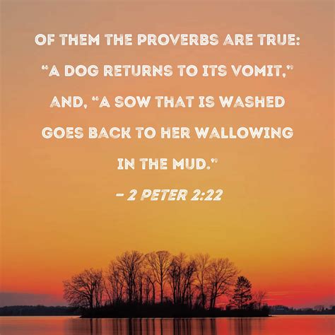 peter     proverbs  true  dog returns   vomit
