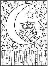 Coloring Pages Owl Printable Adults Adult Colouring Owls Doverpublications Para Colorir Color Book Dover Publications Moon Sheets Birds Books Detailed sketch template