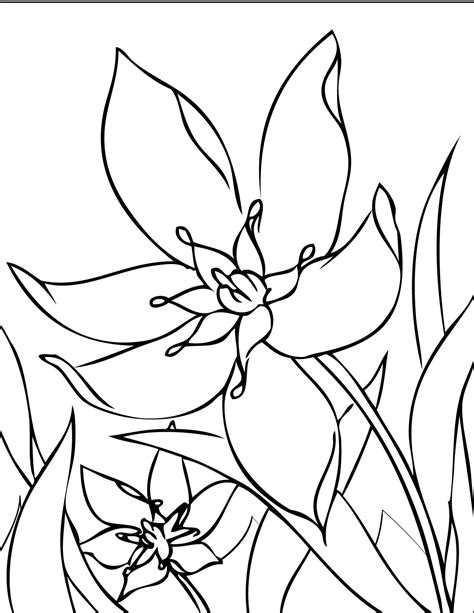 springtime flower coloring pages thiva hellas