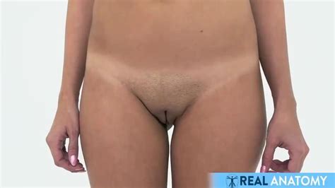 Real Female Anatomy Visual Examination Of The Vulva And Pelvic Areas