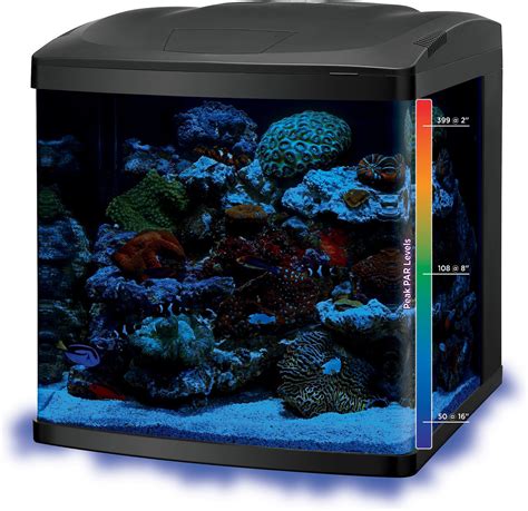 coralife led biocube aquarium kit  shipping chewy
