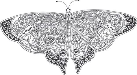 butterflies coloring pages  adults  butterfly coloring page