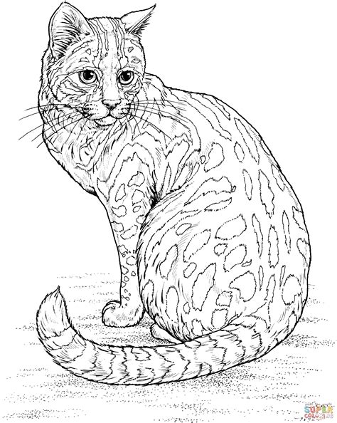 cat coloring pages  adults google search davlin publishing