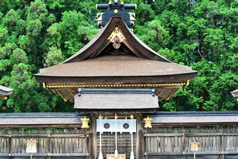 kumano kodo hiking trails  complete overview japan  travel blog