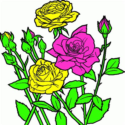 roses coloring page printable roses