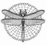 Zentangle Dragonfly Efie Kwok Libellule Zendoodle sketch template